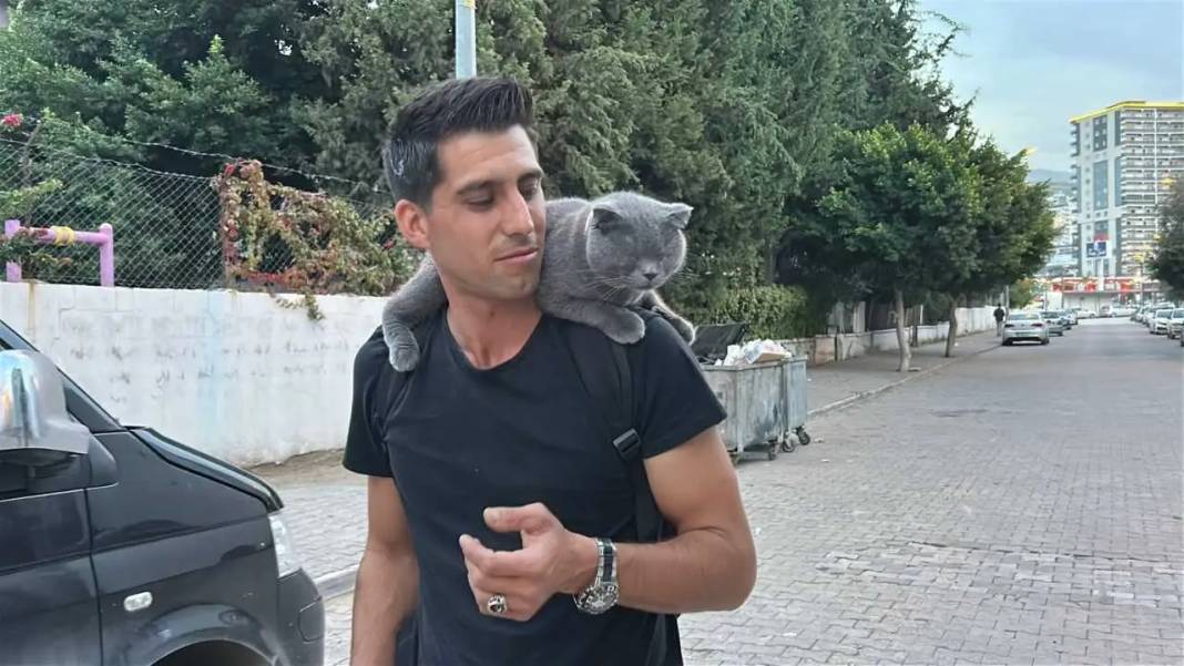 Hatay’da Omuzda Şehri Turlayan Kedi Kentin Maskotu Oldu! 4